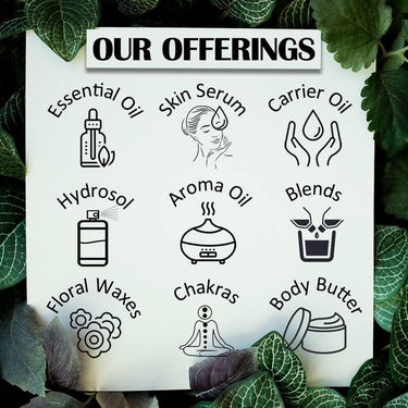 Deve Herbes Aloe Vera Gel (Elixir) | Made with 100% Pure Aloe Vera | Deeply Moisturizing & Hydrating | Daily Skin & Hair Care | For All Skin Types | 100gm